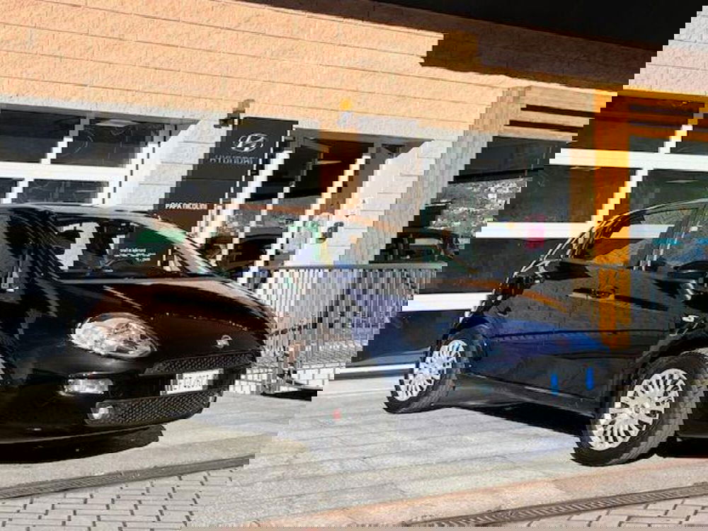 Fiat Punto usata a Verbano Cusio Ossola (2)