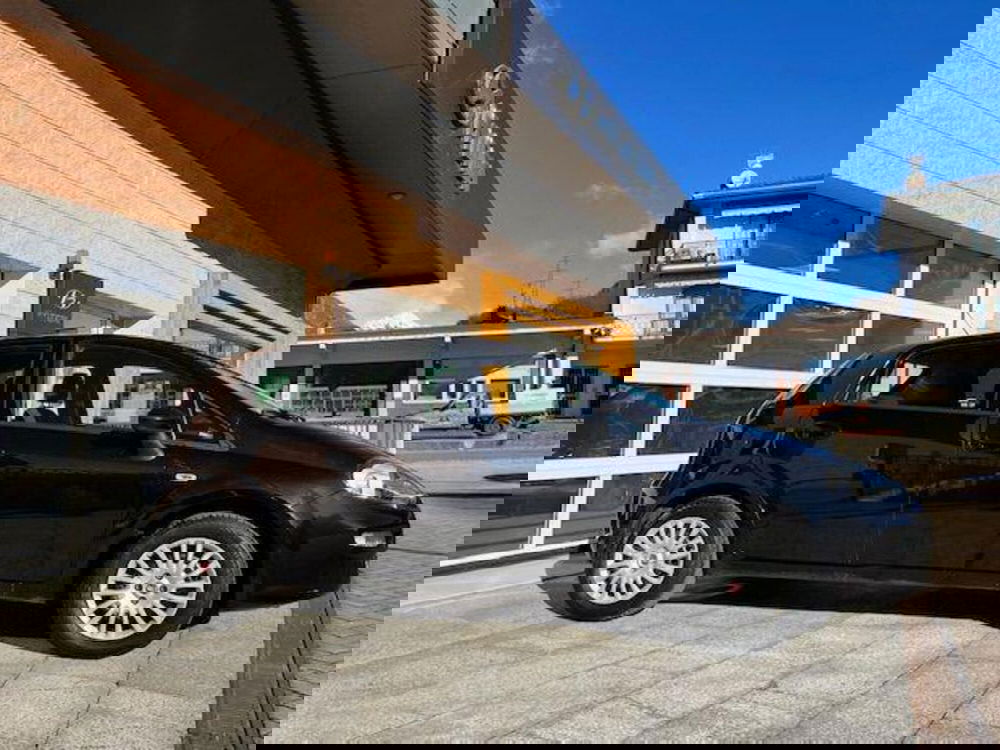 Fiat Punto usata a Verbano Cusio Ossola (4)