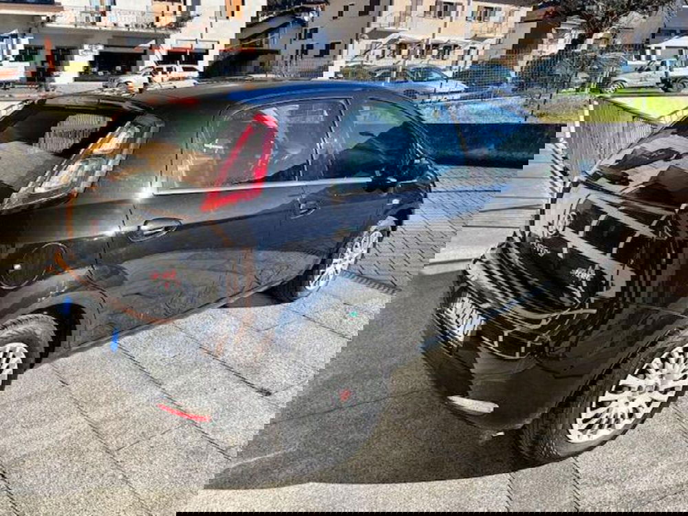 Fiat Punto usata a Verbano Cusio Ossola (5)