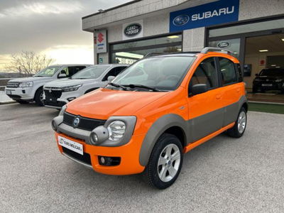 Fiat Panda 1.3 MJT 16V 4x4 Cross del 2006 usata a Campodipietra