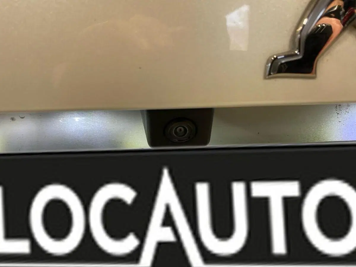 Peugeot 2008 usata a Torino (14)