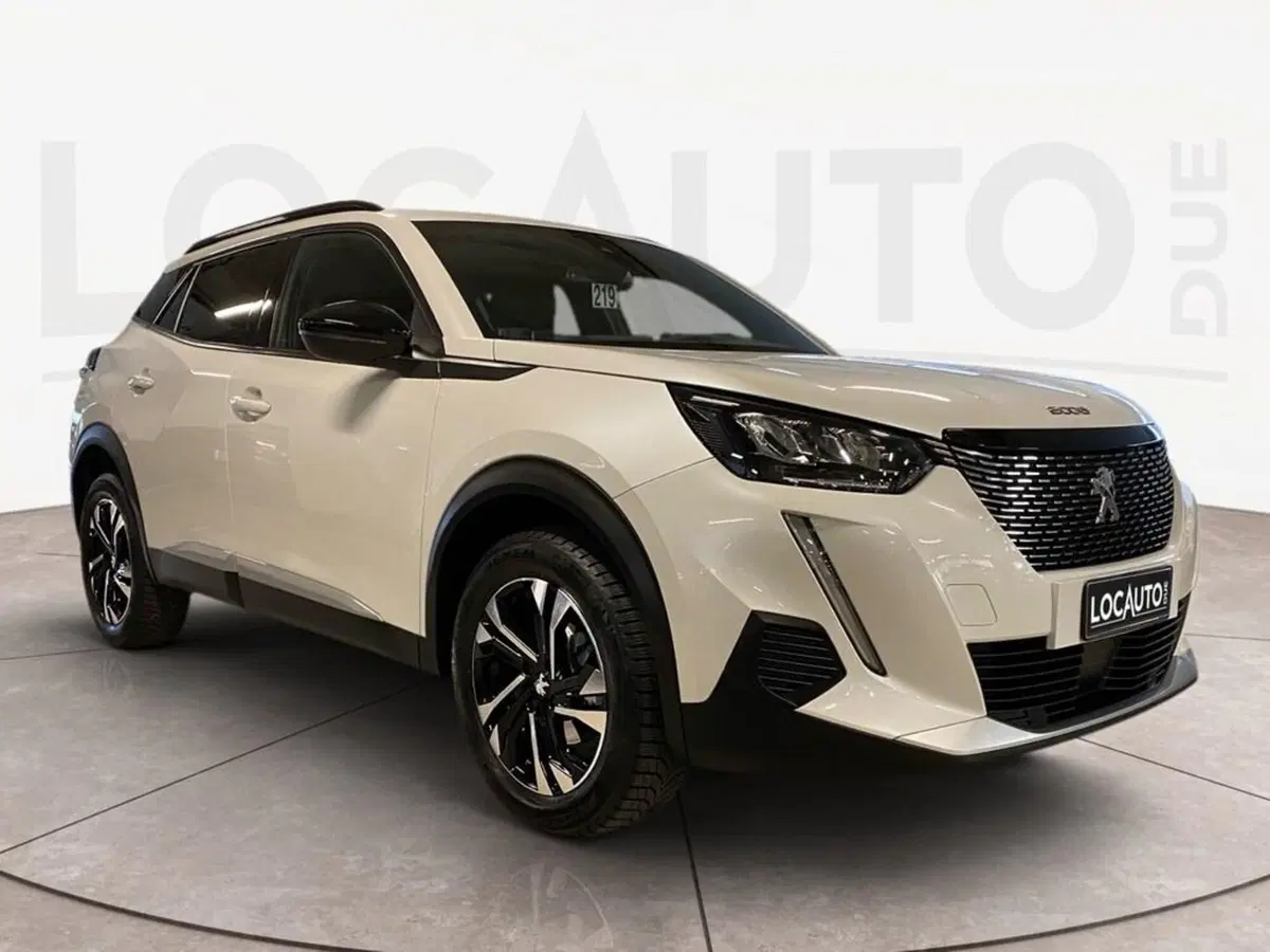 Peugeot 2008 usata a Torino (3)