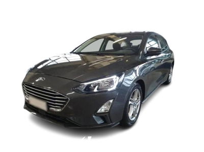 Ford Focus 1.5 EcoBlue 120 CV automatico 5p. Business Co-Pilot del 2019 usata a Bari