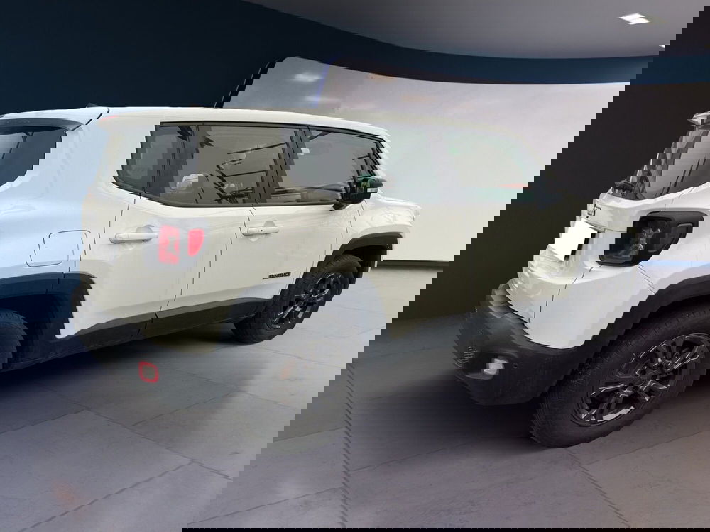 Jeep Renegade usata a Torino (3)