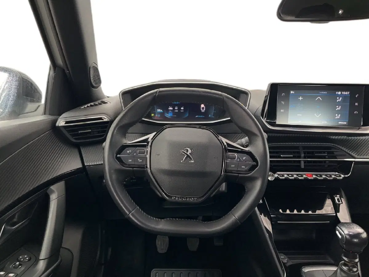 Peugeot 2008 usata a Torino (11)