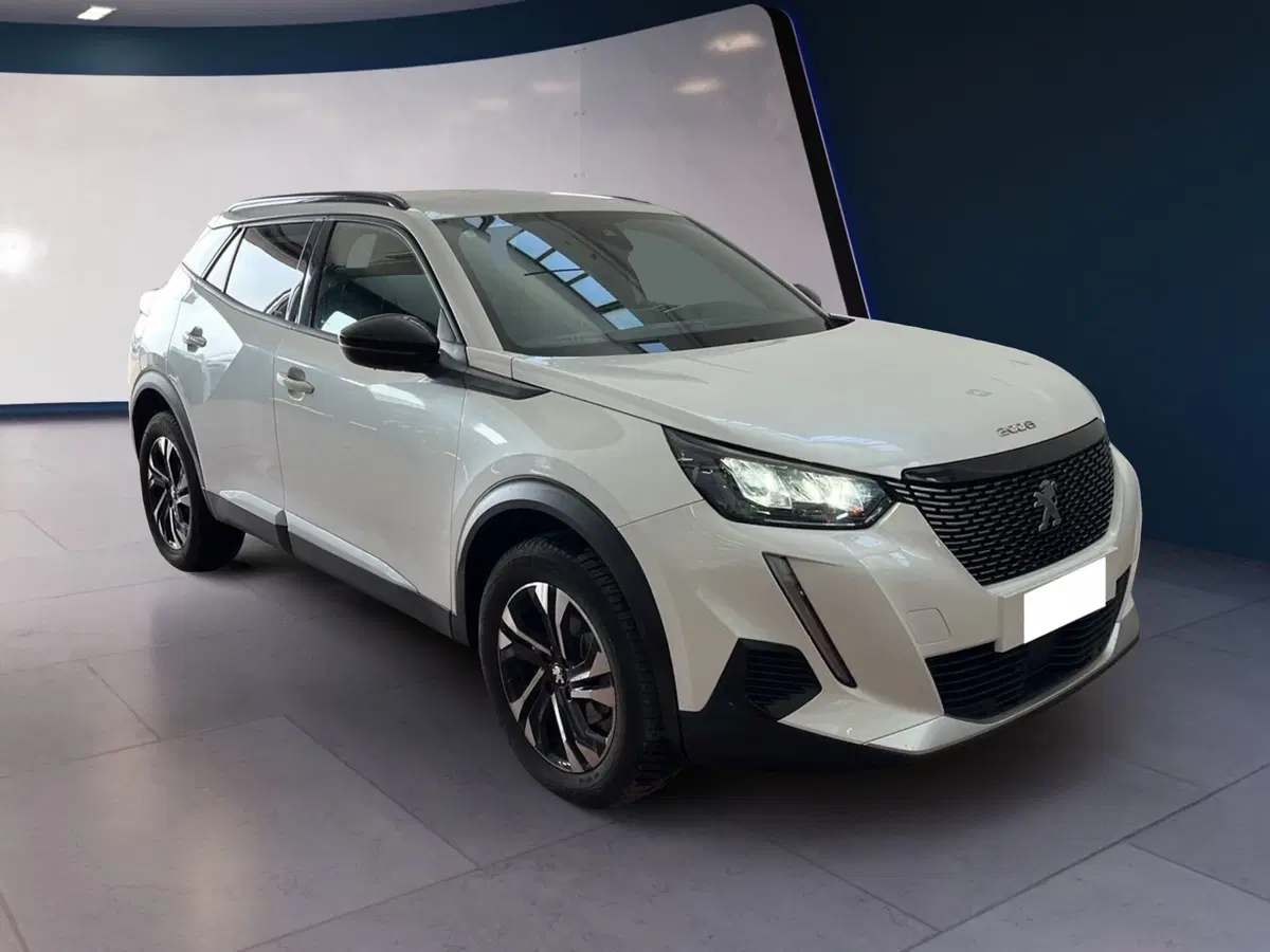 Peugeot 2008 usata a Torino (2)
