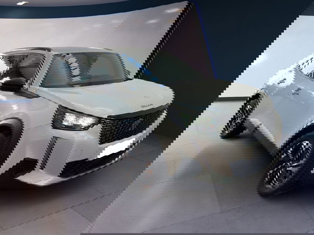 Peugeot 2008 usata a Torino (2)