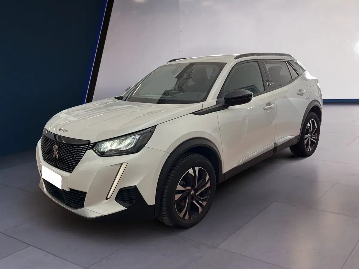 Peugeot 2008 usata a Torino (3)