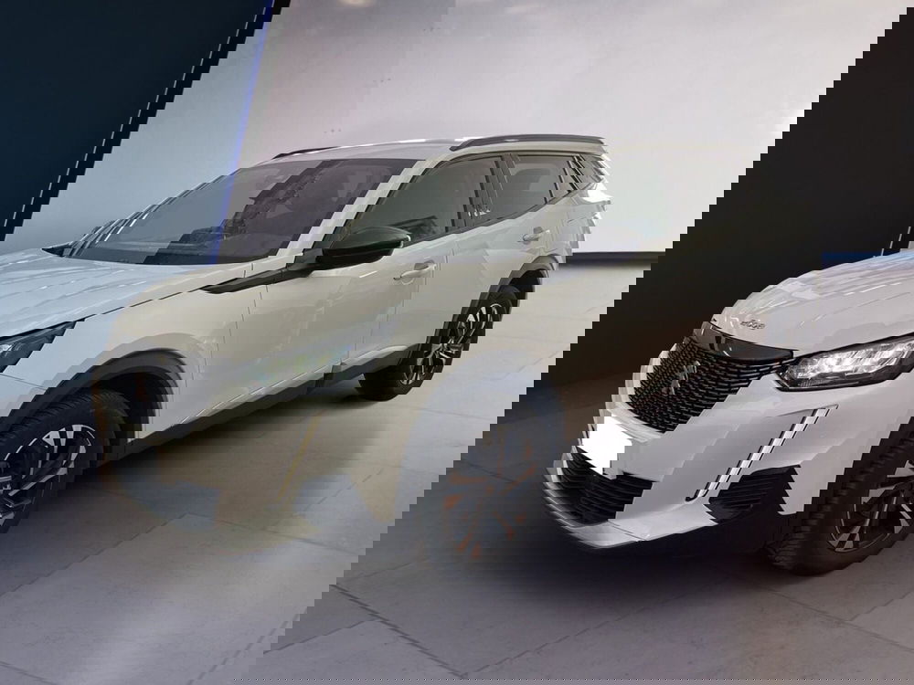 Peugeot 2008 usata a Torino (3)