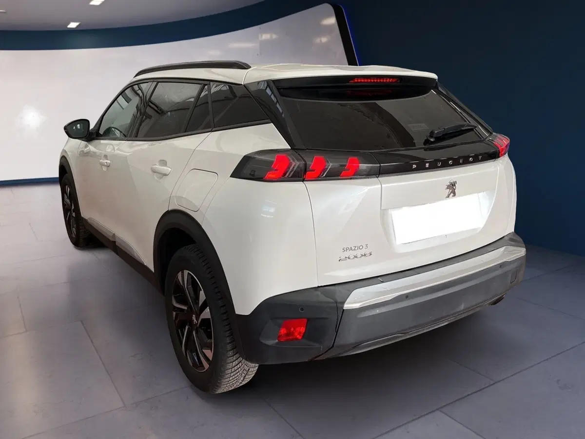 Peugeot 2008 usata a Torino (4)