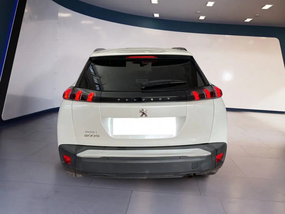 Peugeot 2008 usata a Torino (5)