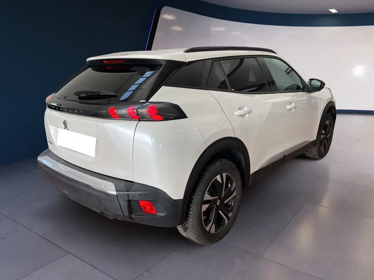 Peugeot 2008 usata a Torino (6)