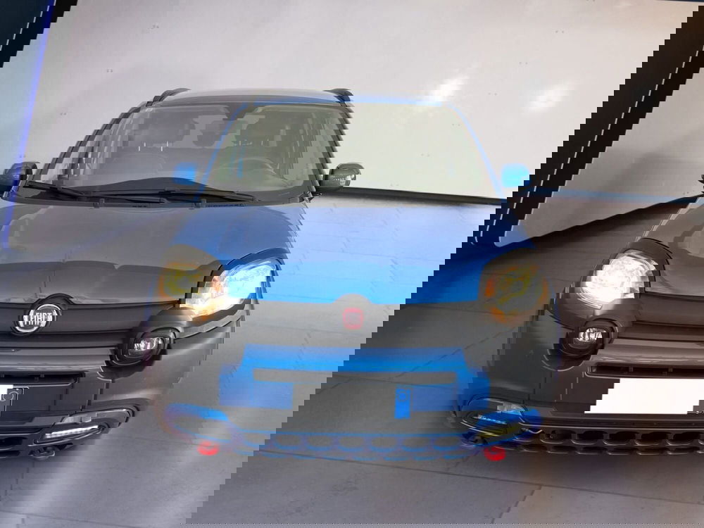 Fiat Panda Cross usata a Torino