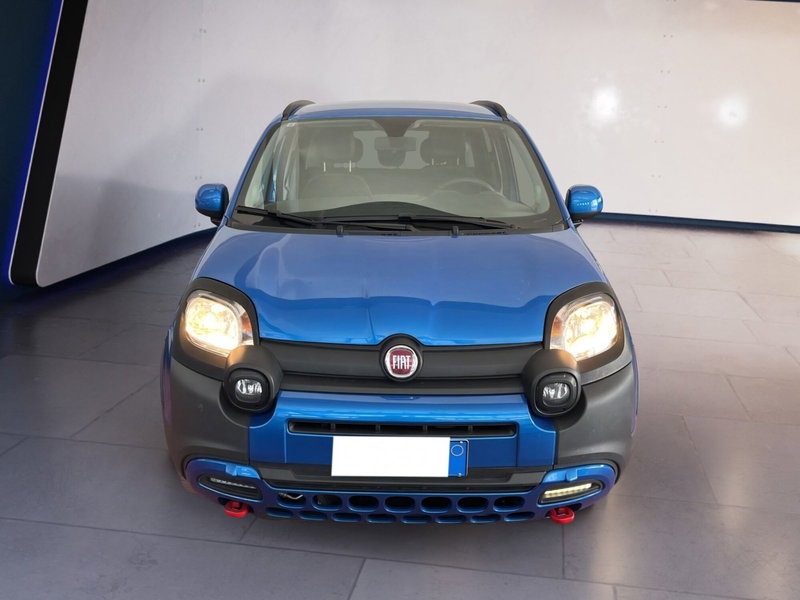 Fiat Panda Cross usata a Torino
