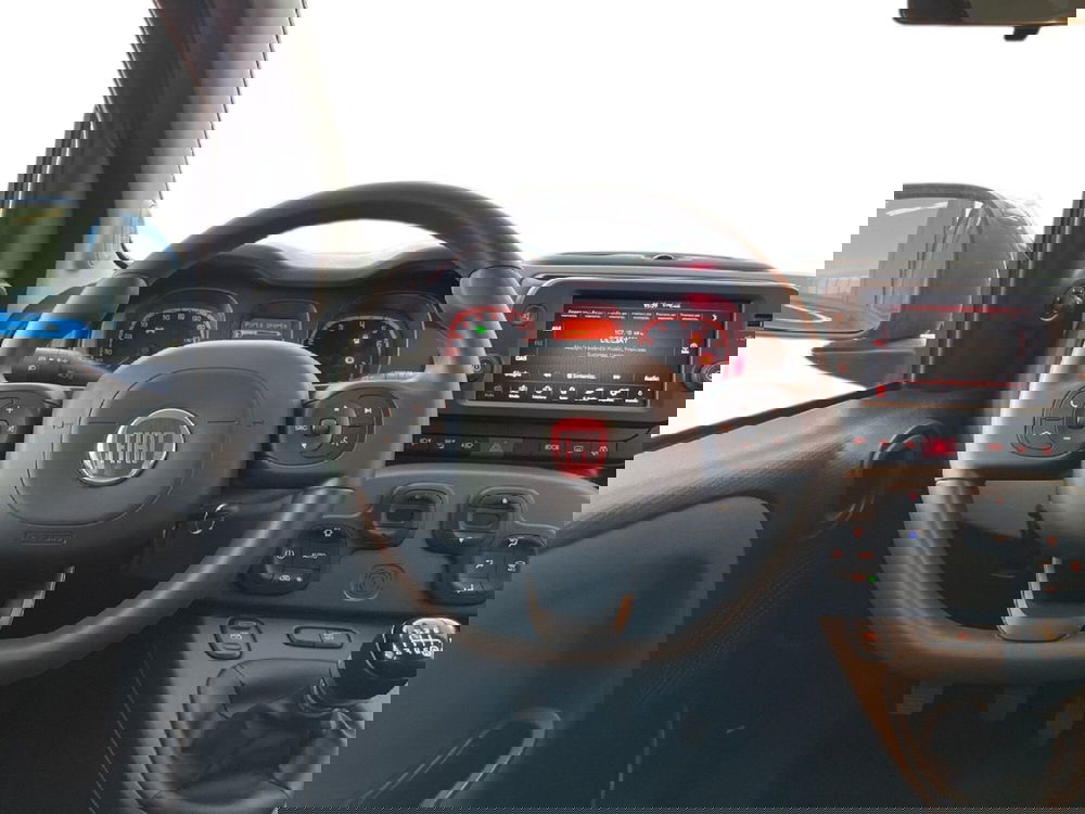 Fiat Panda Cross usata a Torino (11)