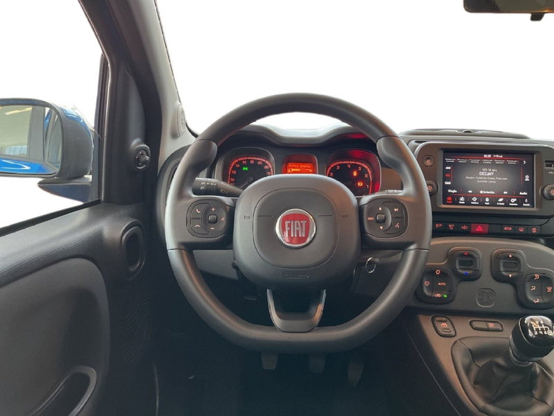 Fiat Panda Cross usata a Torino (11)