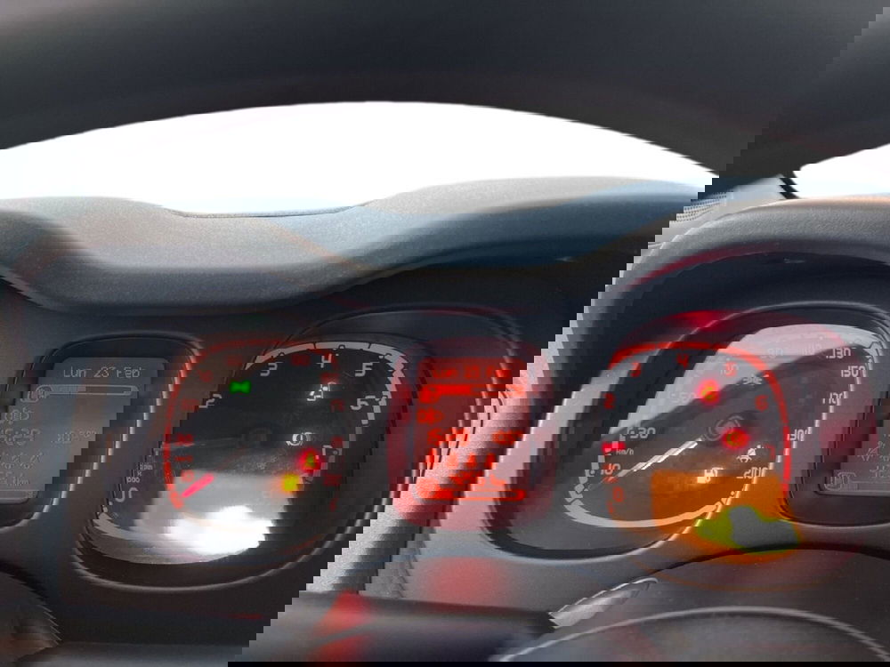 Fiat Panda Cross usata a Torino (14)