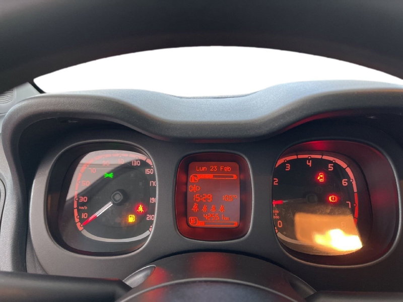 Fiat Panda Cross usata a Torino (14)