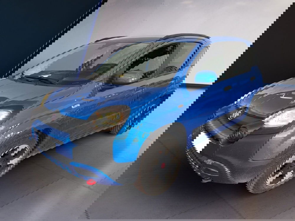 Fiat Panda Cross usata a Torino (2)