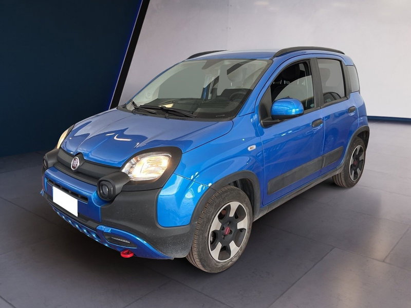 Fiat Panda Cross usata a Torino (2)
