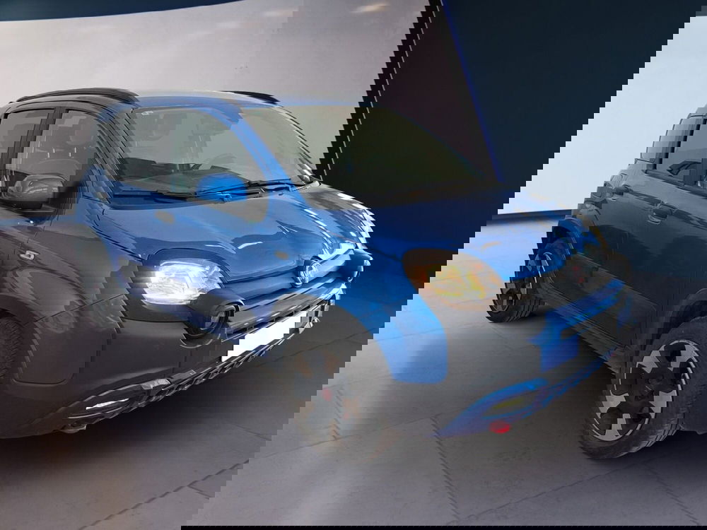 Fiat Panda Cross usata a Torino (3)