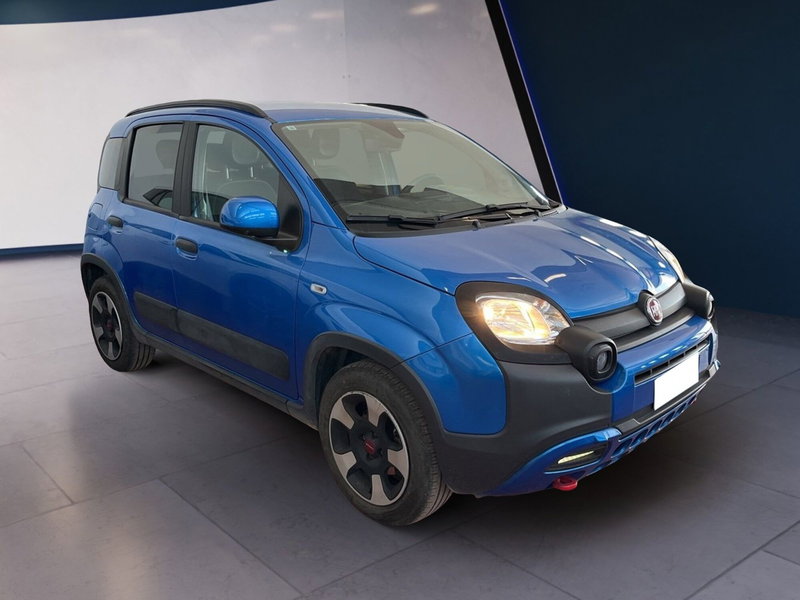 Fiat Panda Cross usata a Torino (3)