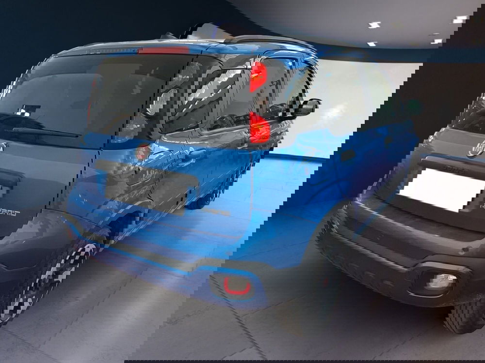 Fiat Panda Cross usata a Torino (4)