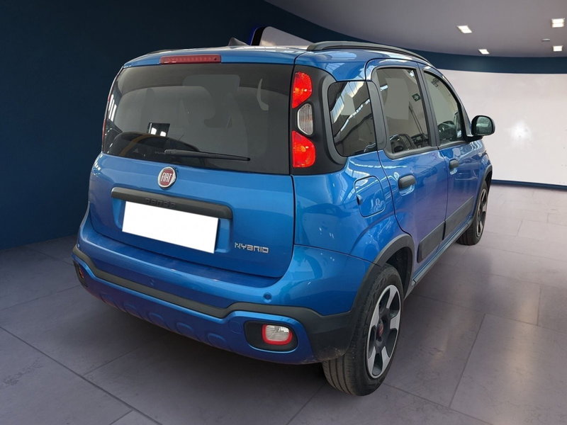 Fiat Panda Cross usata a Torino (4)