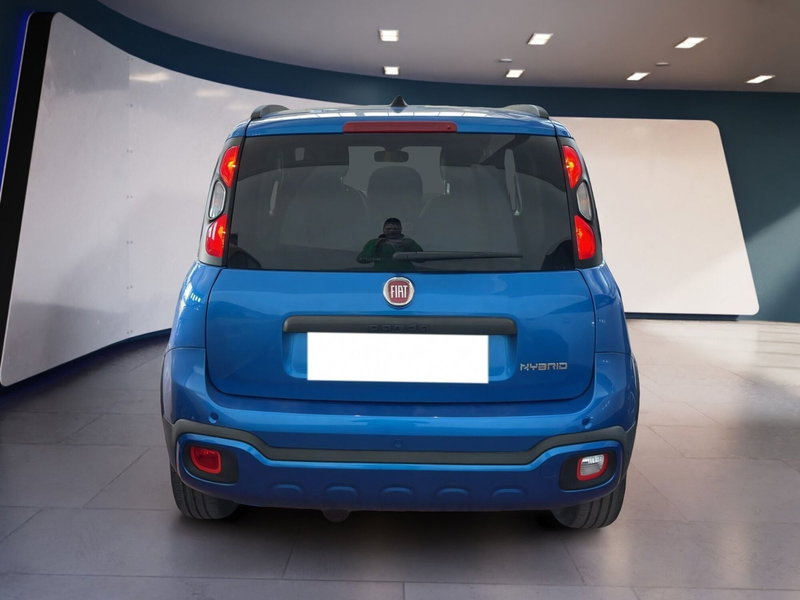 Fiat Panda Cross usata a Torino (5)