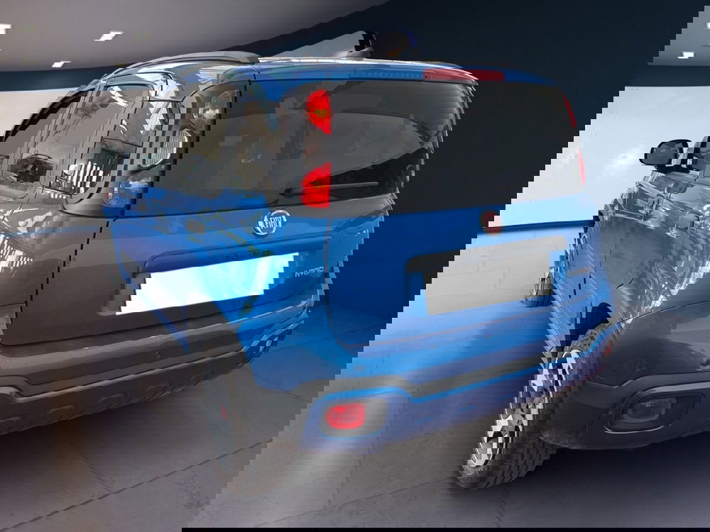 Fiat Panda Cross usata a Torino (6)