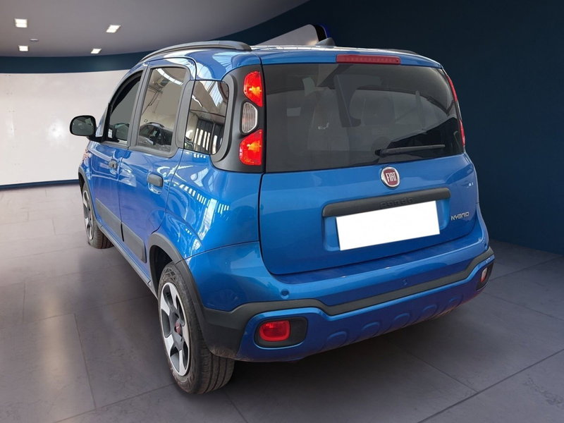 Fiat Panda Cross usata a Torino (6)