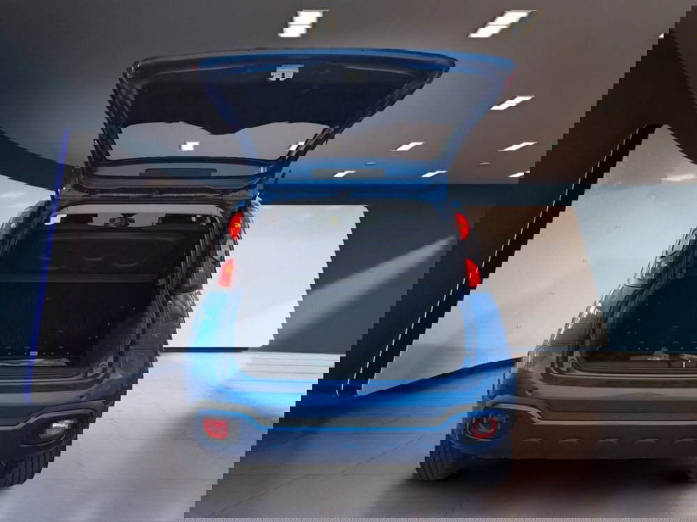 Fiat Panda Cross usata a Torino (7)