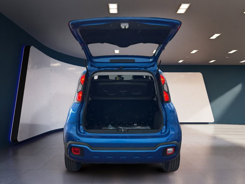 Fiat Panda Cross usata a Torino (7)