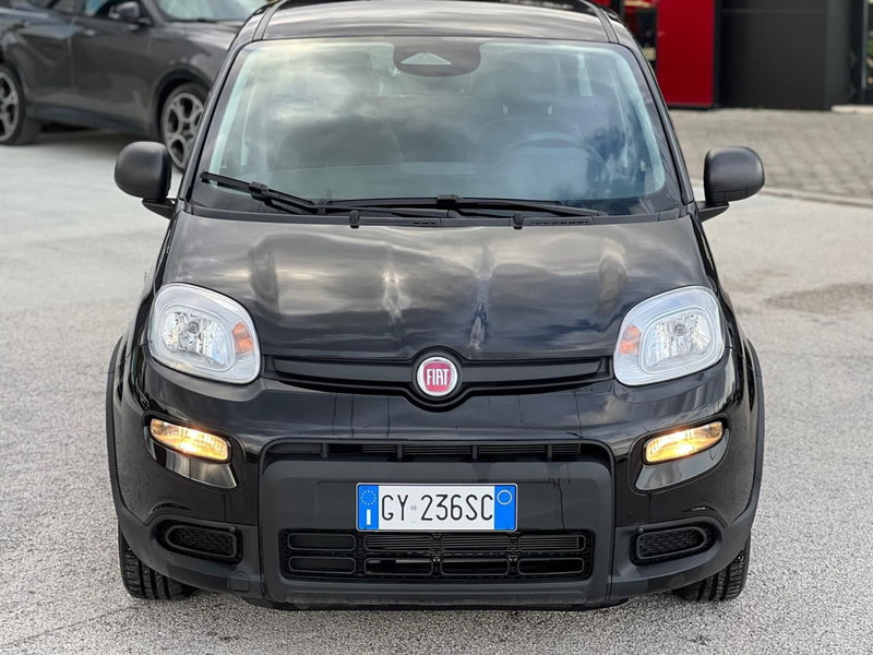 Fiat Panda Cross nuova a Matera (5)