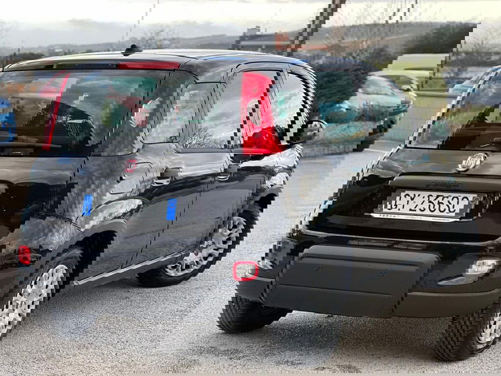 Fiat Panda Cross nuova a Matera (7)