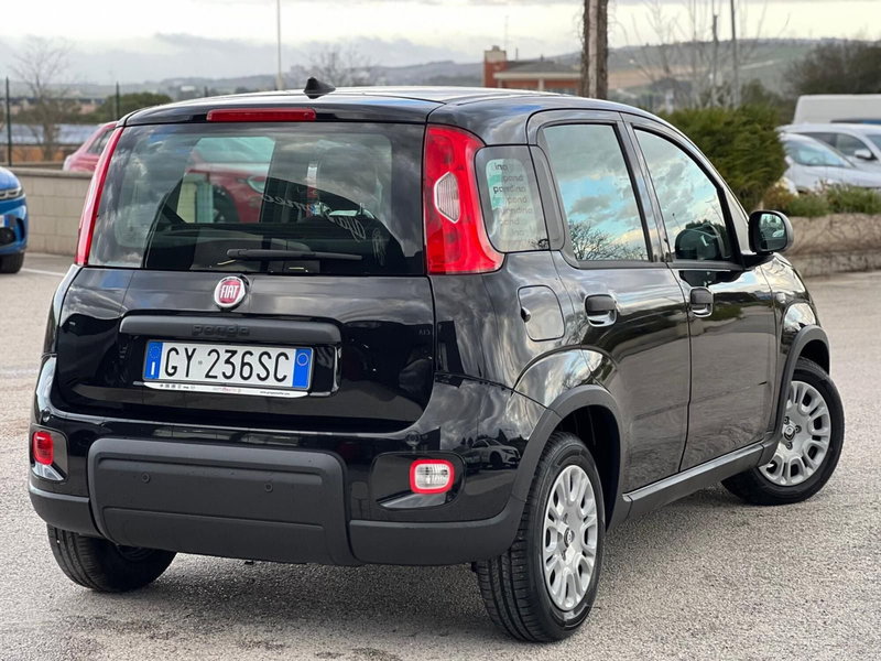 Fiat Panda Cross nuova a Matera (7)