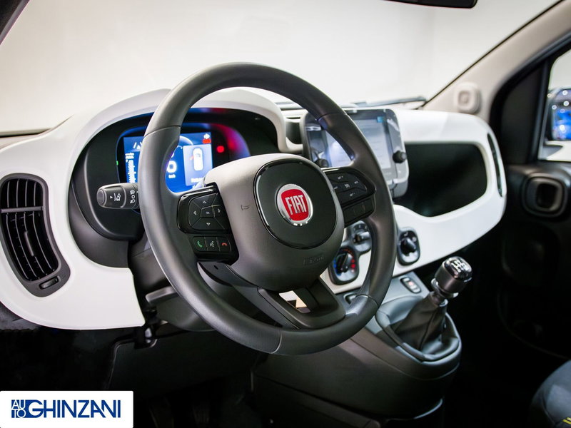 Fiat Panda Cross usata a Bergamo (11)