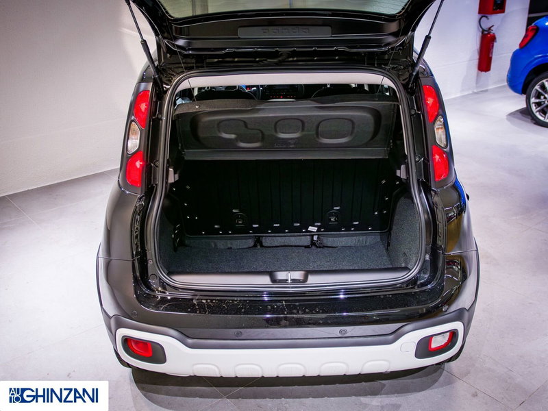 Fiat Panda Cross usata a Bergamo (13)