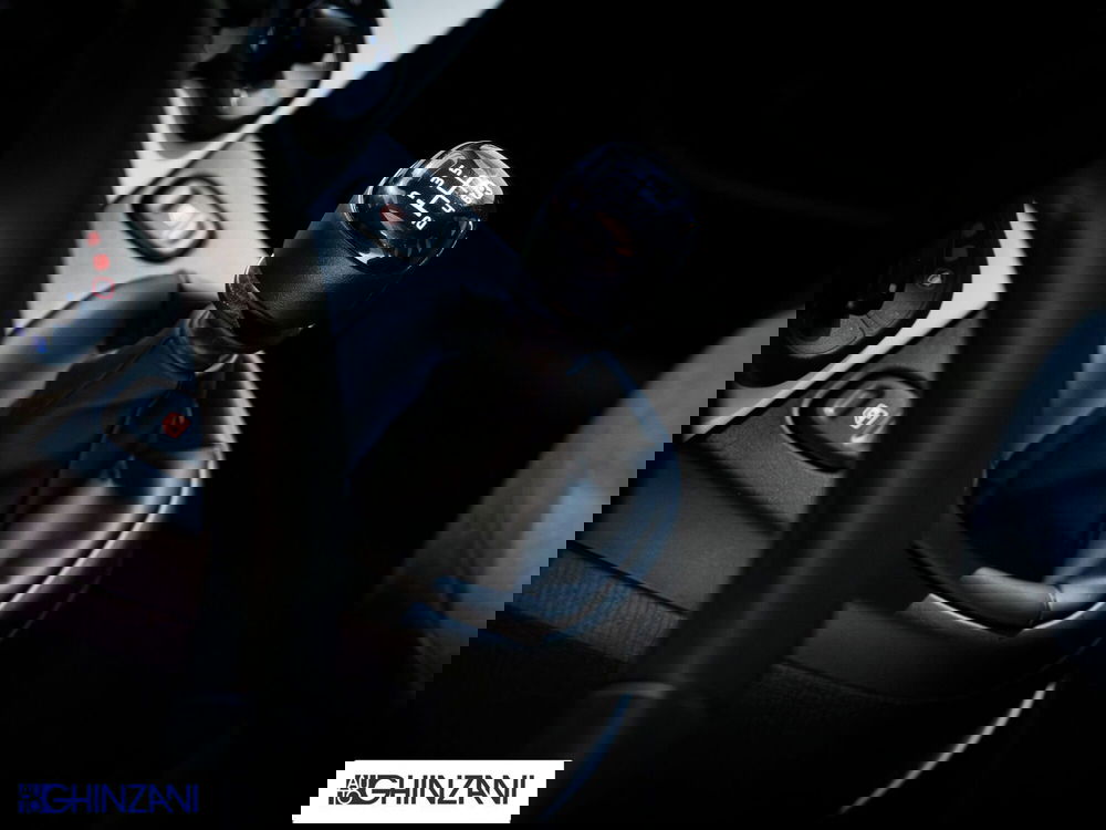 Fiat Panda Cross usata a Bergamo (16)