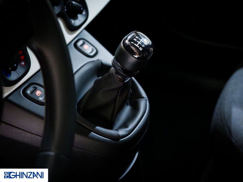 Fiat Panda Cross usata a Bergamo (16)