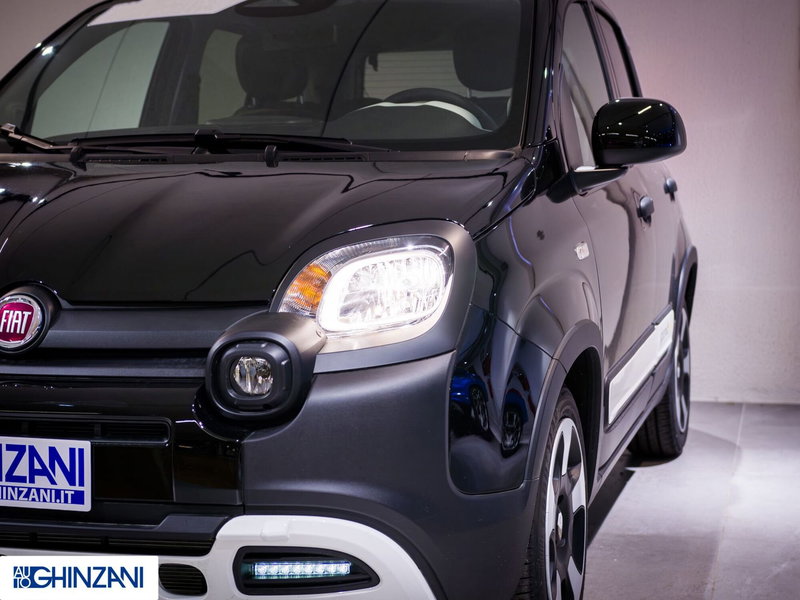 Fiat Panda Cross usata a Bergamo (17)