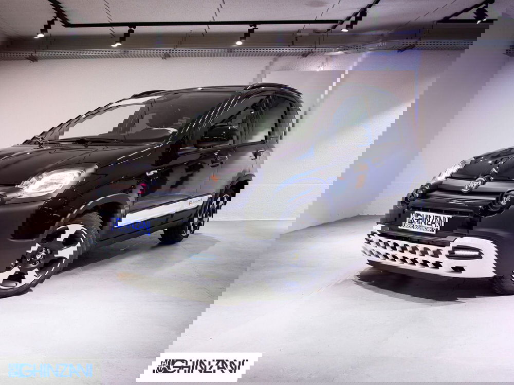 Fiat Panda Cross usata a Bergamo (3)