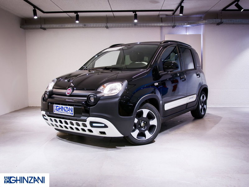 Fiat Panda Cross usata a Bergamo (3)