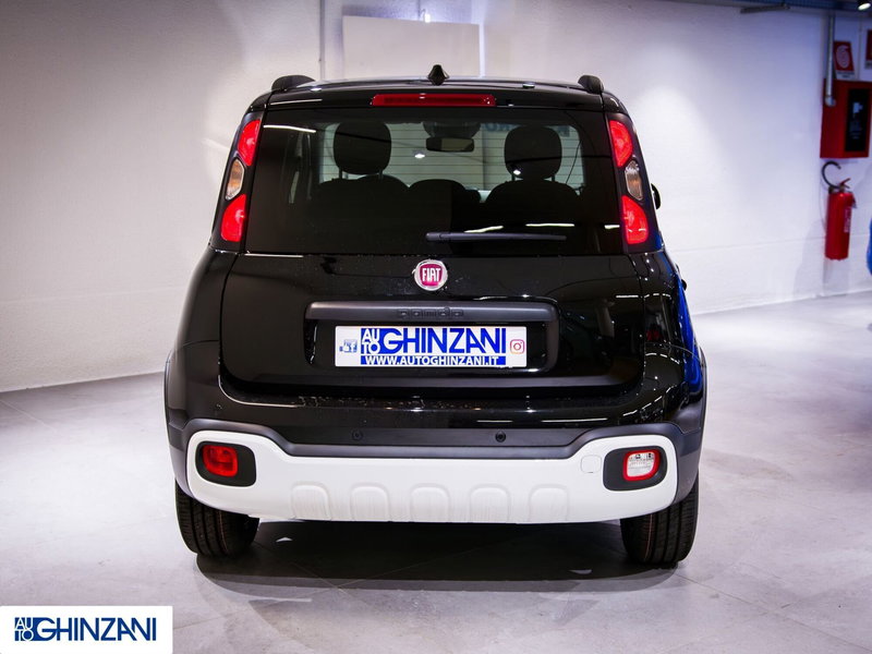 Fiat Panda Cross usata a Bergamo (6)