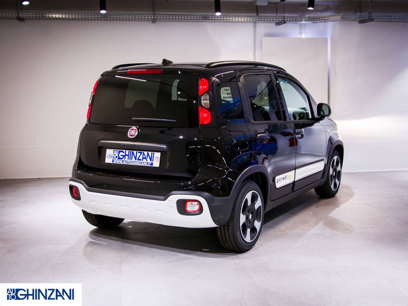Fiat Panda Cross usata a Bergamo (7)