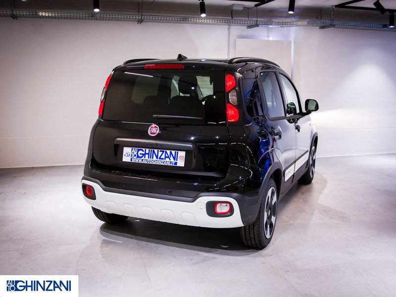 Fiat Panda Cross usata a Bergamo (8)