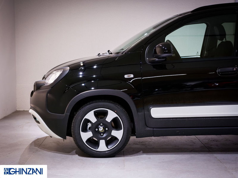 Fiat Panda Cross usata a Bergamo (9)