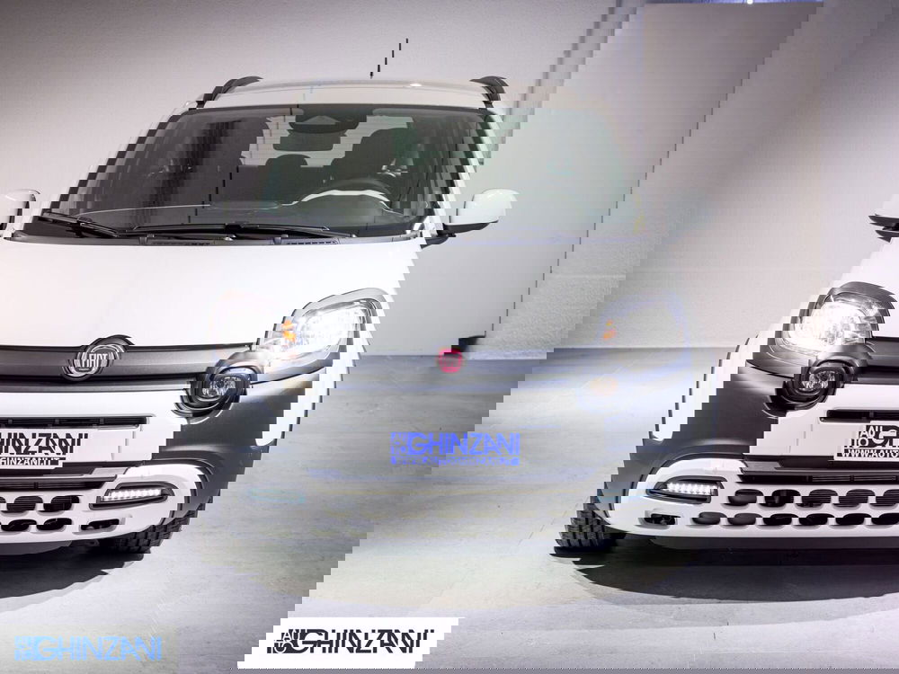 Fiat Panda Cross usata a Bergamo (4)