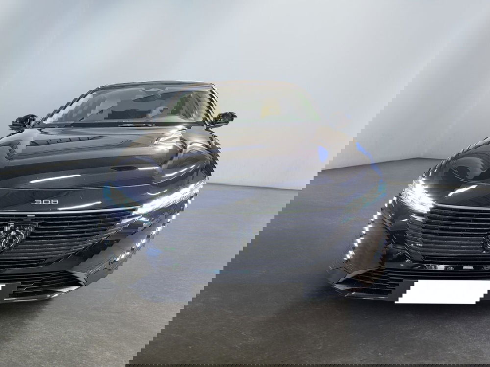 Peugeot 308 SW usata a Modena (2)