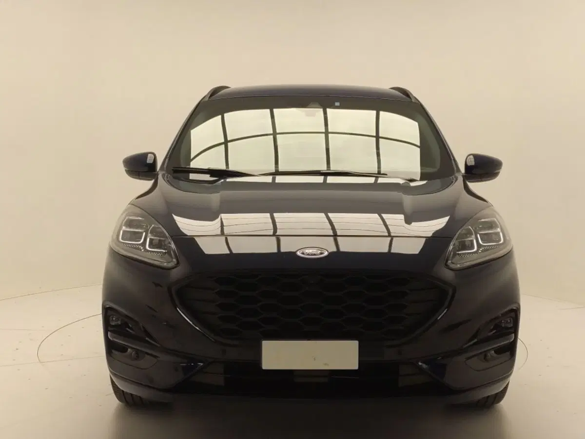 Ford Kuga usata a Avellino (2)